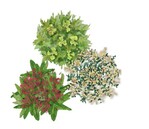 Frisch und innovativ