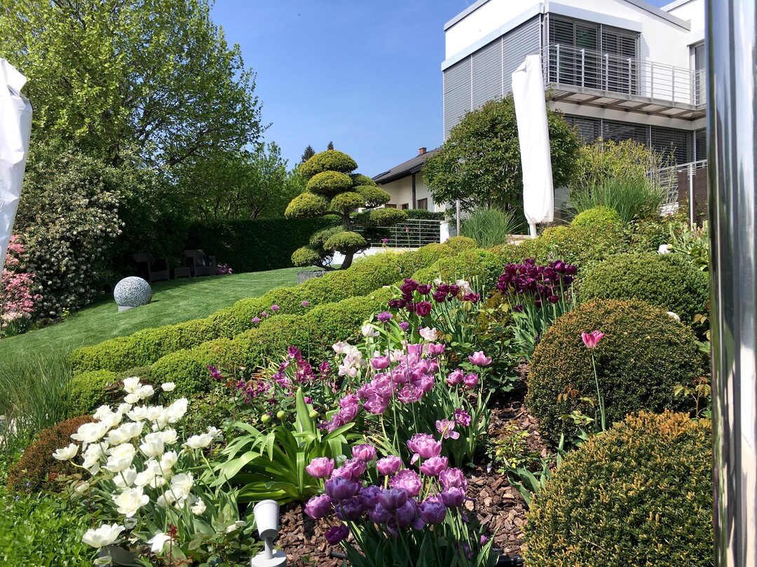 GreenTEC