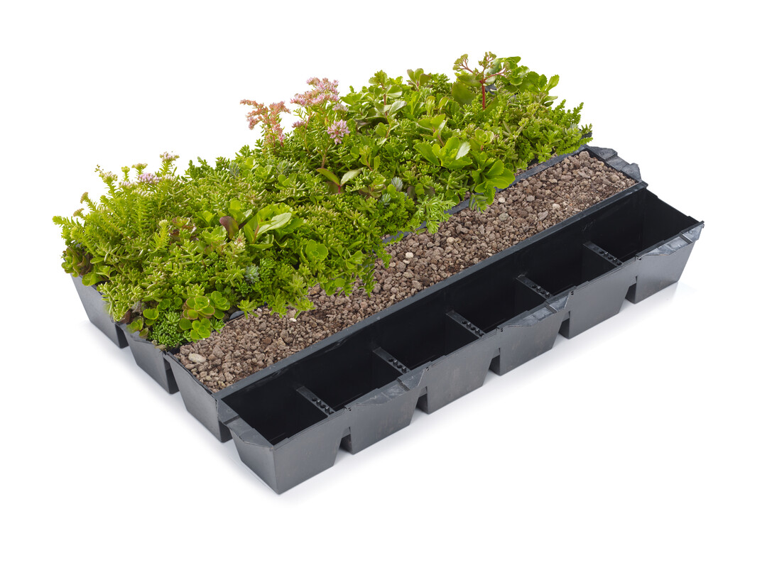Die Helix GrnDach Module bringen alles mit, was fr eine extensive Dachbegrnung bentigt wird: einen Regenwasserspeicher, eine Substratschicht mit optimaler Drainagefunktion sowie robuste und an wechselnde Klimabedingungen angepasste Pflanzen.