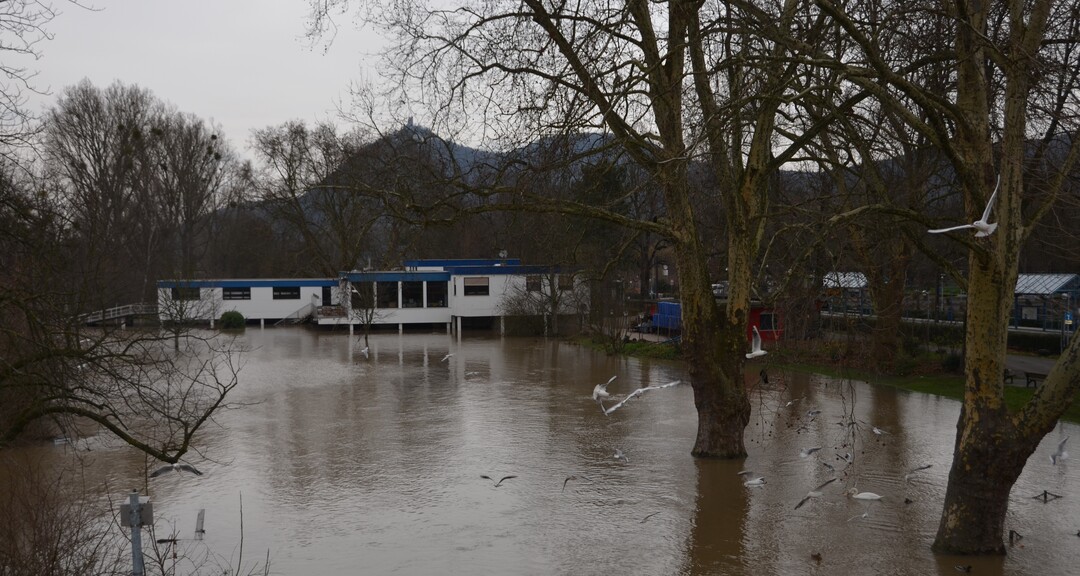 Aktuelle Hochwassersituation in Bad Honnef vom 9. Januar 2018.