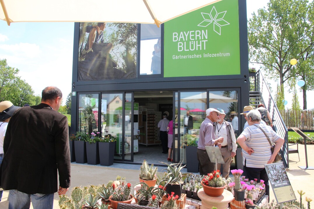 "Bayern blht" - das Infozentrum des Bayerischen Grtnerei-Verbands, des Bunds deutscher Baumschulen Landesverband Bayern, des Verbands Garten-, Landschafts- und Sportplatzbau Bayern bietet Information und Beratung, die Bayerische Landesanstalt fr Wein- und Gartenbu Veitshchheim zeigt die Top-Neuheiten fr den Garten.