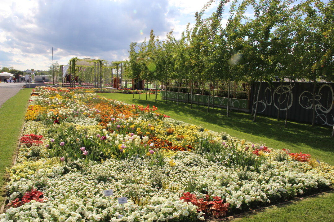 Die BUGA Heilbronn geht mit ihrem bisher eimaligen Konzept aus Garten- und Stadtausstellung neue Wege. 