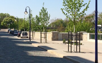 Sicherer Stand fr 70 Kaiserlinden: In den berbauten Baumgruben der neuen Hochwasserschutzanlage Zollstrae in Magdeburg kam der tegra Wurzelaktivator RADILOX zum Einsatz.