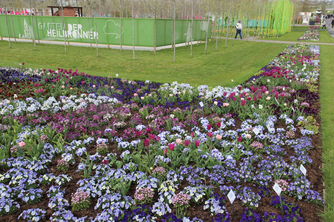 Die Herausforderung wird dafr nun darin bestehen, die Zeit bis zur Mitte Mai geplanten Pflanzung des Sommerflors einigermaen bunt zu berstehen.