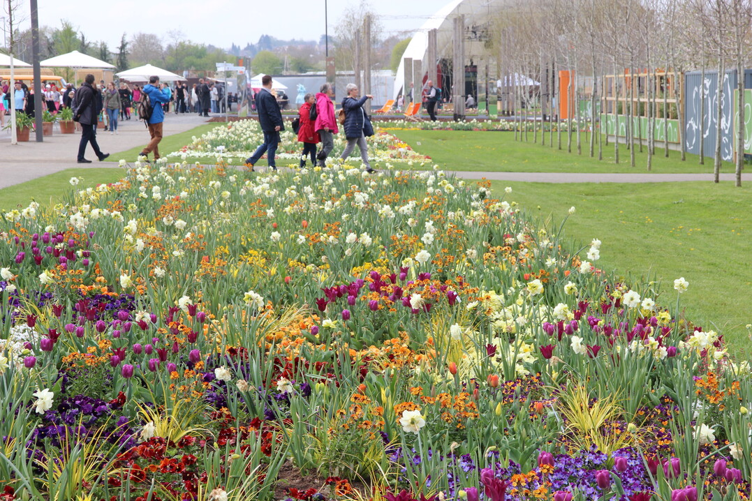 Der Wetterverlauf hat einen immensen und nicht planbaren Einfluss auf den Blhstand der Saisonbeete. In Heilbronn drfen sich die Besucher mit den Verantwortlichen der Gartenschau darber freuen, dass die Beete zur Erffnung im Bestzustand sind.