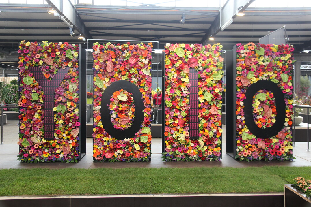Die erste Hallenschau auf der BUGA Heilbronn steht unter dem Motto #yolo you only live once" und wurde von #floralproject 3.0-Floristen unter Leitung von Petra Spring, Sarah Hasenhndl und Frank Tichlers gestaltet. Mehr Fotos zu der Schau unter https://www.florieren-online.de/floralproject-3-0-gestaltet-Eroeffnungsshow-auf-der-Buga-2019,QUlEPTYxMTQ1MjgmTUlEPTExNDk.html