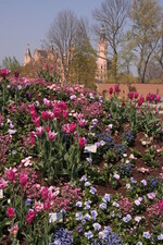 Blumenbeet im Küchengarten.