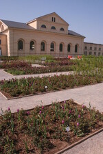 Die klassizistische Fassade des großherzoglichen Marstalls wird im Lauf des Sommers noch hinter mehr Blütenpracht zurücktreten.