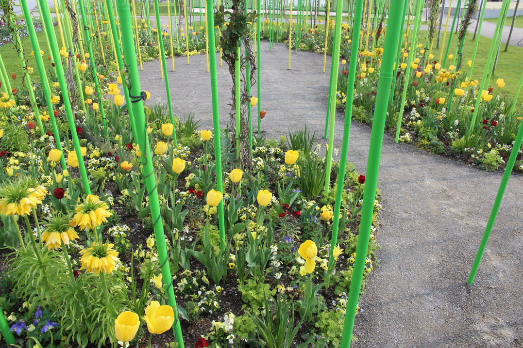 Gelbe Tne beherrschen den Schlingergarten.