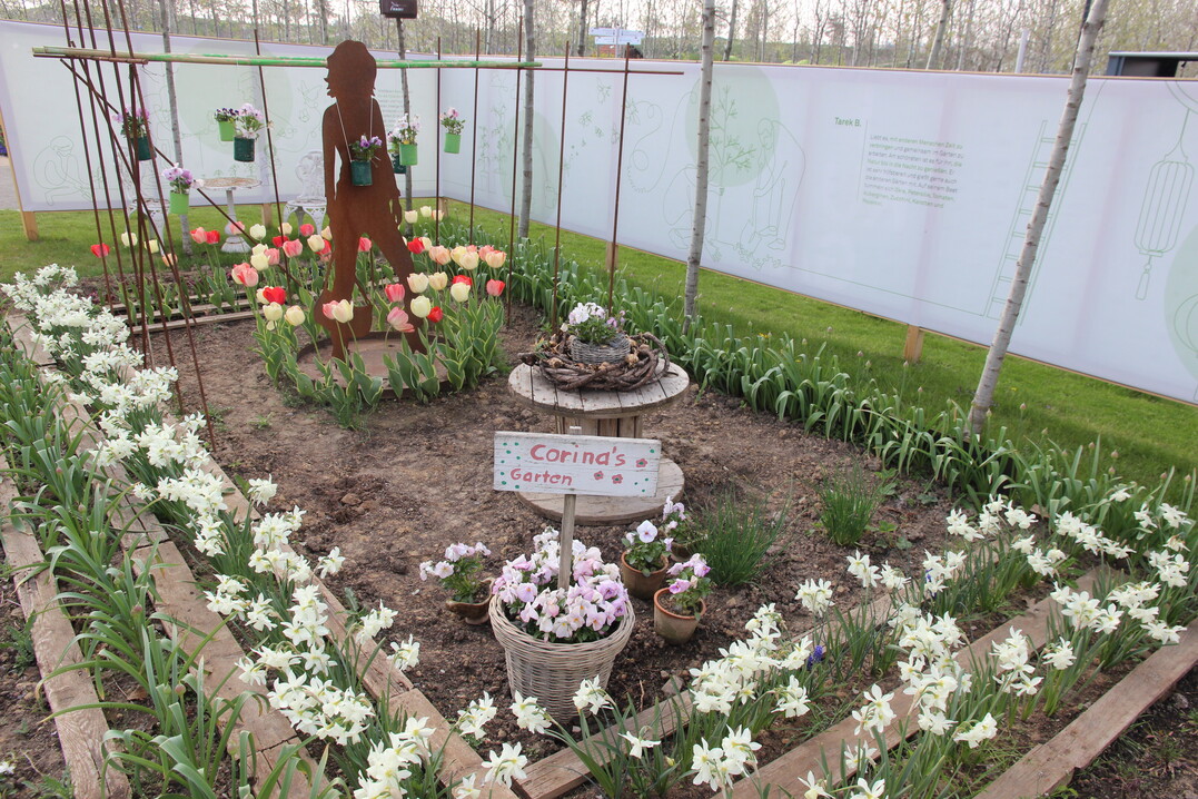 Der interkulturelle Garten besteht aus vielen kleinen Parzellen, die sehr unterschiedlich gestaltet wurden und werden.