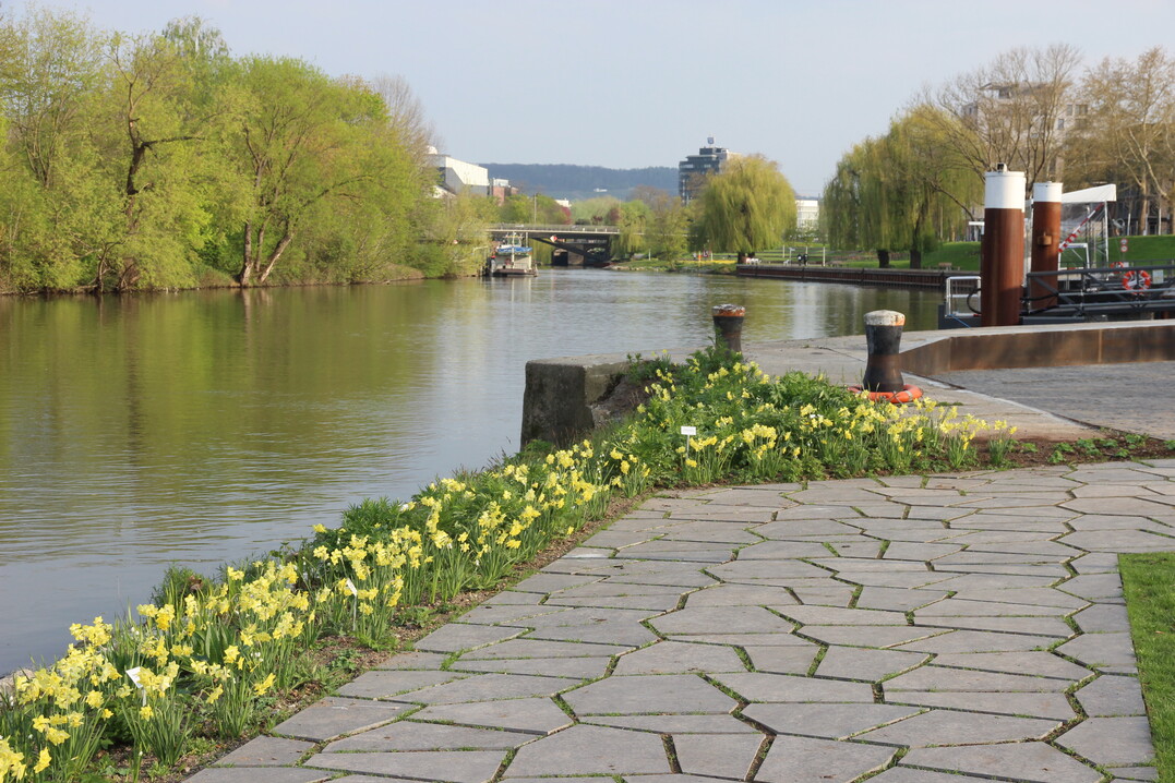In ihrem nrdlichen Teil erschliet die BUGA den Neckar als Natur- und Erlebnisraum.