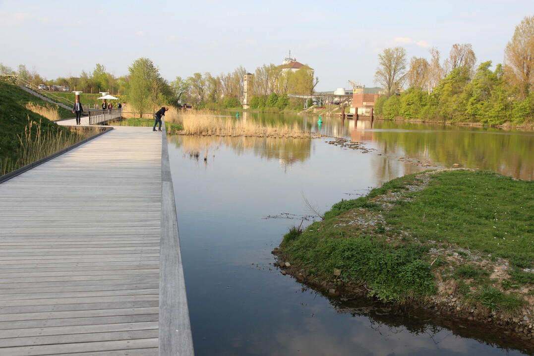 Der Neckar ganz nah.