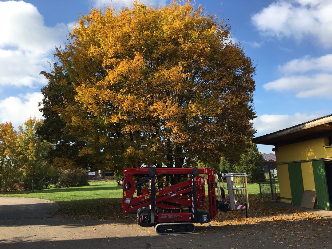 Mit den HINOWA Raupen-Arbeitsbhnen untersttzt Dorn Lift Ihre Herbstprojekte. 