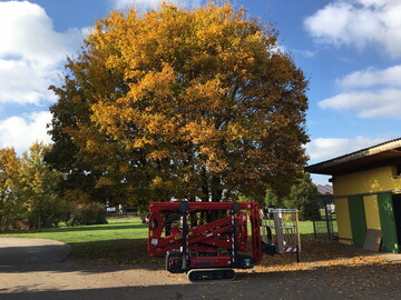 Mit den HINOWA Raupen-Arbeitsbhnen untersttzt Dorn Lift Ihre Herbstprojekte. 