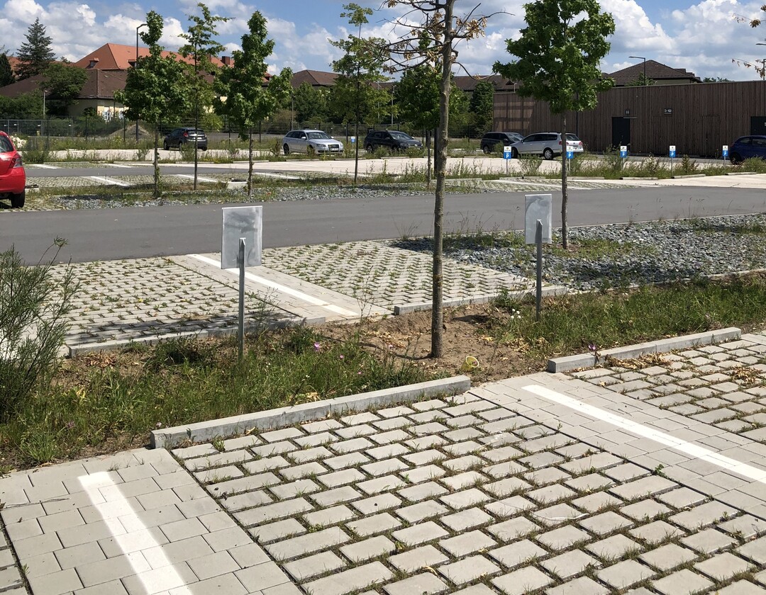 Schotterrasen und Rasenfugenpflaster reduzieren den Abfluss, schaffen Mikrolebensrume und verringern auch die Hitzeabstrahlung. Zusammen mit den Retentionsmulden kann ein Groteil des anfallenden Niederschlagswassers versickert werden.
