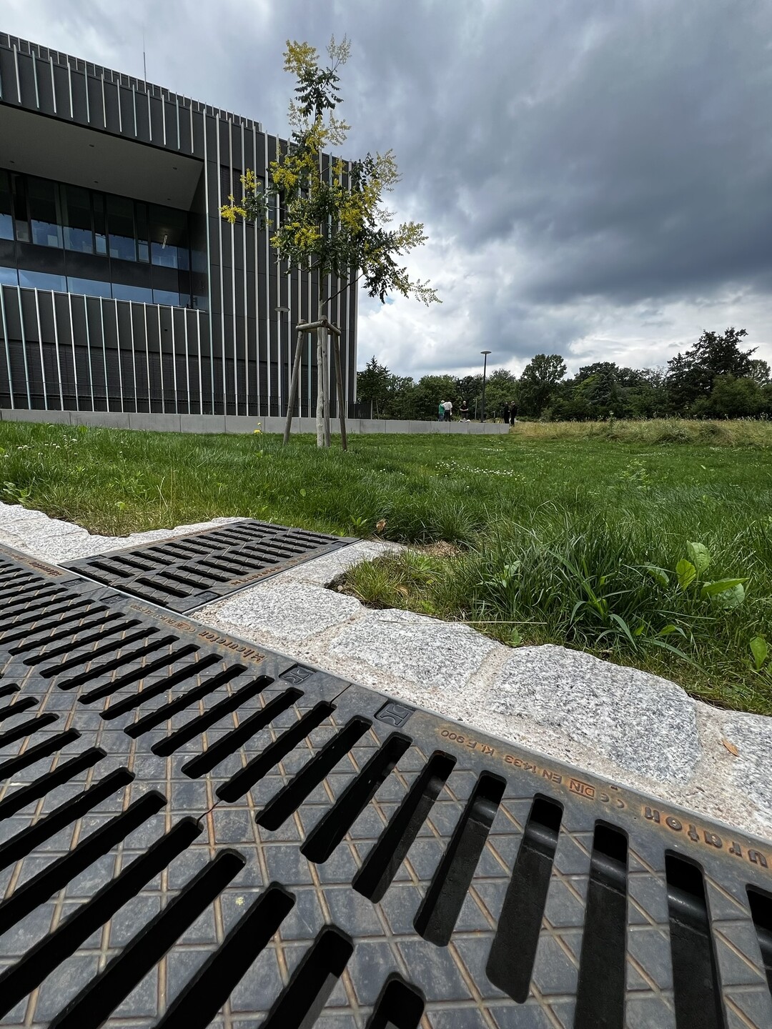 Gereinigtes Regenwasser fr gesundes Stadtgrn