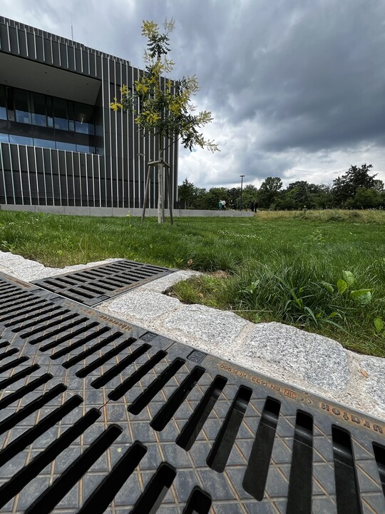 Gereinigtes Regenwasser fr gesundes Stadtgrn