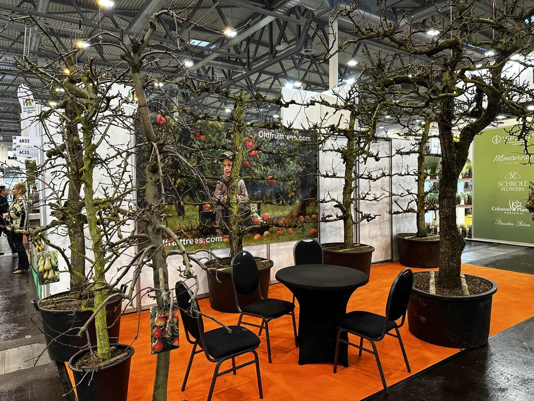 Klimabäume standen im Fokus der diesjährigen Weltleitmesse des Gartenbaus. Im Bild alte fruchtende Sorten