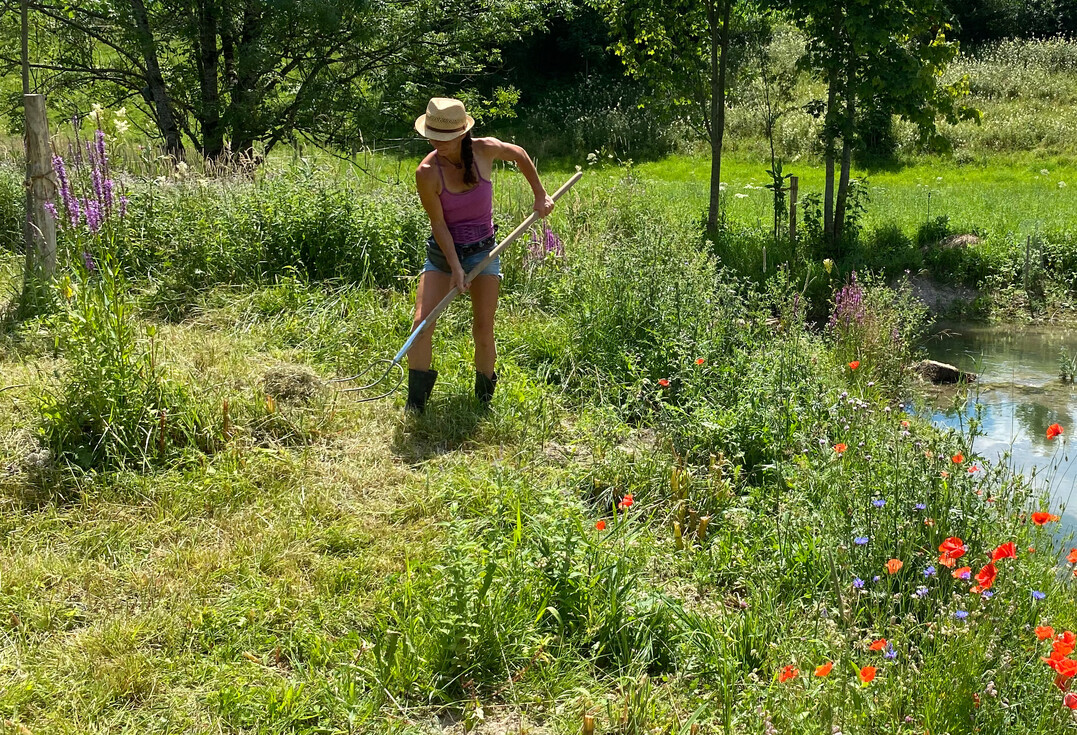 Biodiverse Garten- und Anlagenpflege ist selektiv und verlangt viel Fachkompetenz.