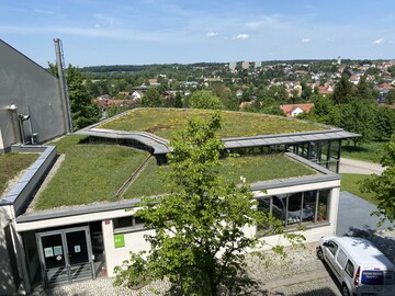 Grndcher sehen nicht nur schn aus, sondern haben fr Nutzerinnen und Nutzer sowie fr die Gesellschaft handfeste Vorteile. Hier finden Sie alle auf einen Blick.