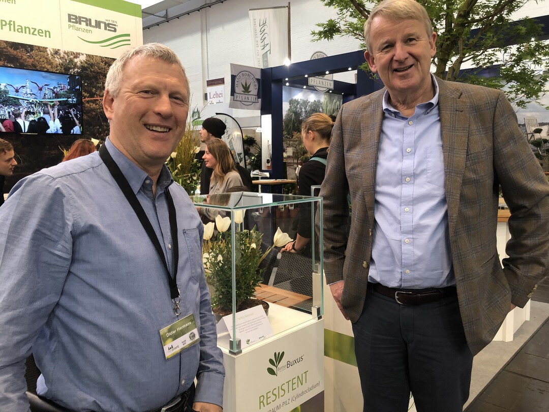 Der belgische Buchszchter Didier Herman und Jan-Dieter Bruns von der Baumschule Bruns Pflanzenhandel in Bad Zwischenahn wollen in Zukunft resistente Buchs-Sorten anbieten.