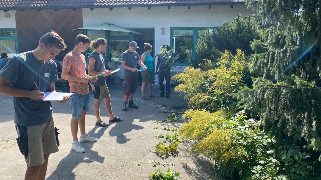 Auszubildende beim Pflanzentest