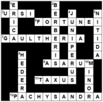 Lösung Novemberheft