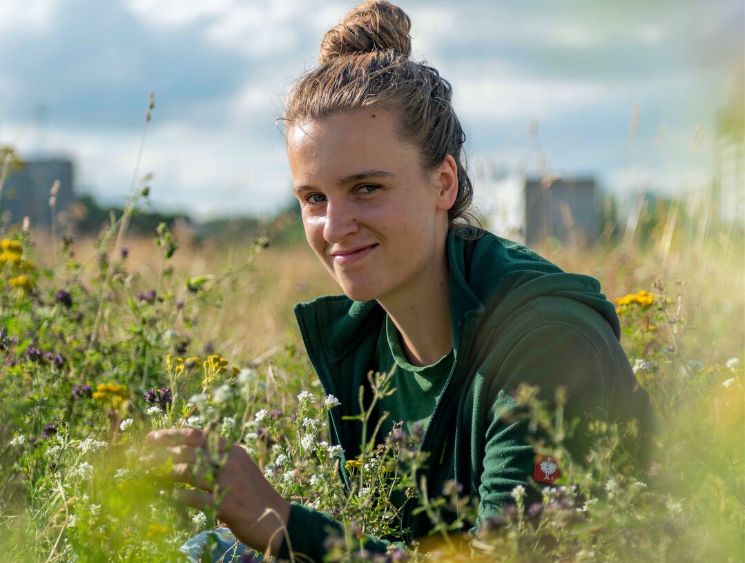 Ausbildung mit Bestnoten, duale Studentin (Gartenbau und Grnflchenmanagement), selbstbewusst, weltoffen, kreativ und vielseitig  entsprechend strahlen auf dem Deckblatt ihrer Bewerbung fr den BGL-Bildungspreis drei Johannas in die Kamera. Bei der Lektre kann man schnell den Eindruck gewinnen: Hier engagiert sich eine fr (mindestens) drei: beruflich, als Rettungsschwimmerin, Ersthelferin, beim Freiwilligendienst in Afrika, als Botschafterin auf Messen und Bloggerin fr den Beruf Landschaftsgrtnerin  oder als kundige Fhrerin durch die Botanik der Nachbarschaft
