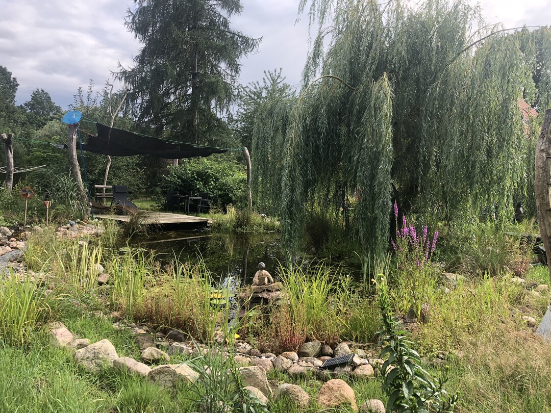 	Sieger Kategorie IV Schnster privater Hausgarten: Naturteich, Rietz-Neuendorf