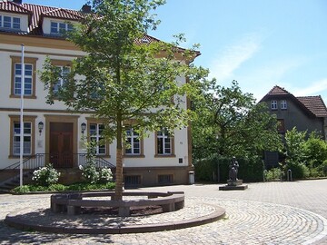 Lebensraum Stadt:
Platzmangel und schdliche Umweltbedingungen stellen viele Stadtbume vor Herausforderungen.