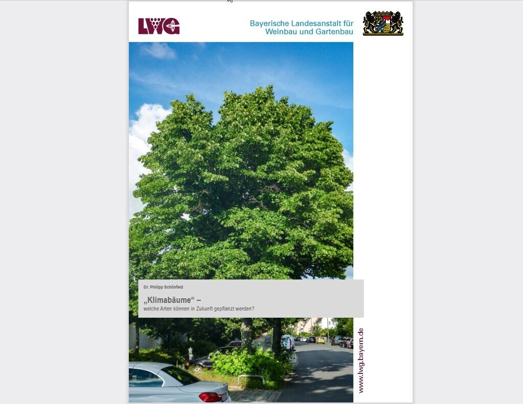 Was sind die Klimagehölze für Stadt und Garten? DEGA GALABAU das