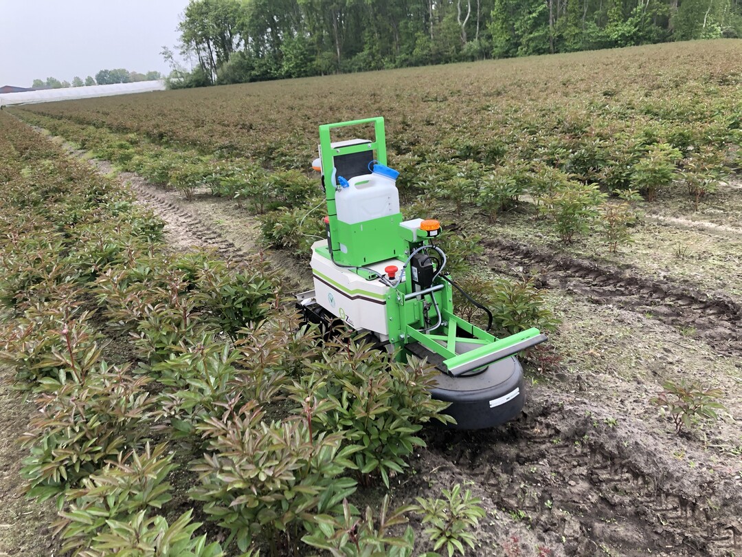 Oz Roboter mit ULV-Sprhsatz