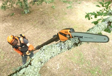 Przise Schnittfhrung auf bis zu drei Metern mit der Selion Telescopic Evo.