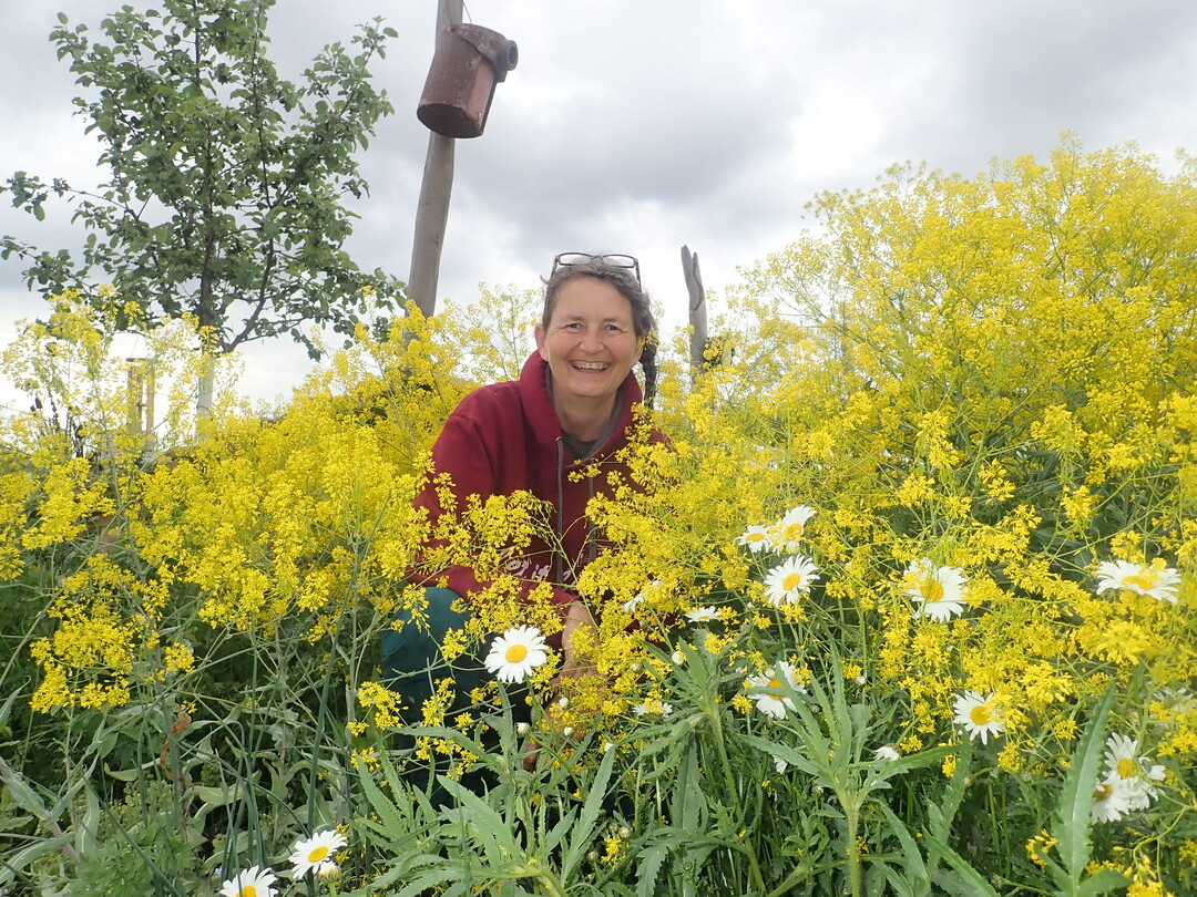 Birgit Helbig