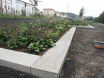 Bauarbeiten und Pflanzungen sind in Heidenheim zu einem großen Teil fertig. Die Pflanzungen werden sich deshalb 2006 in sehr gutem Zustand präsentieren