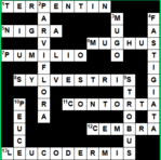 Lösung April-Rätsel<br>