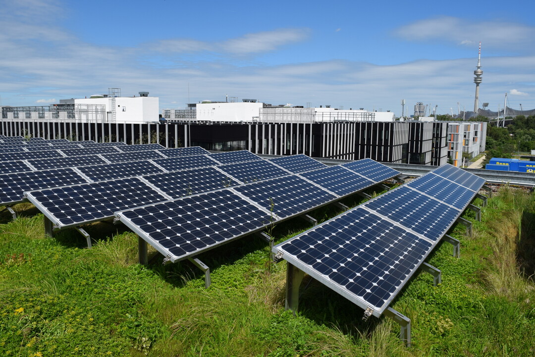 Beispiel Grndach-Photovoltaik
