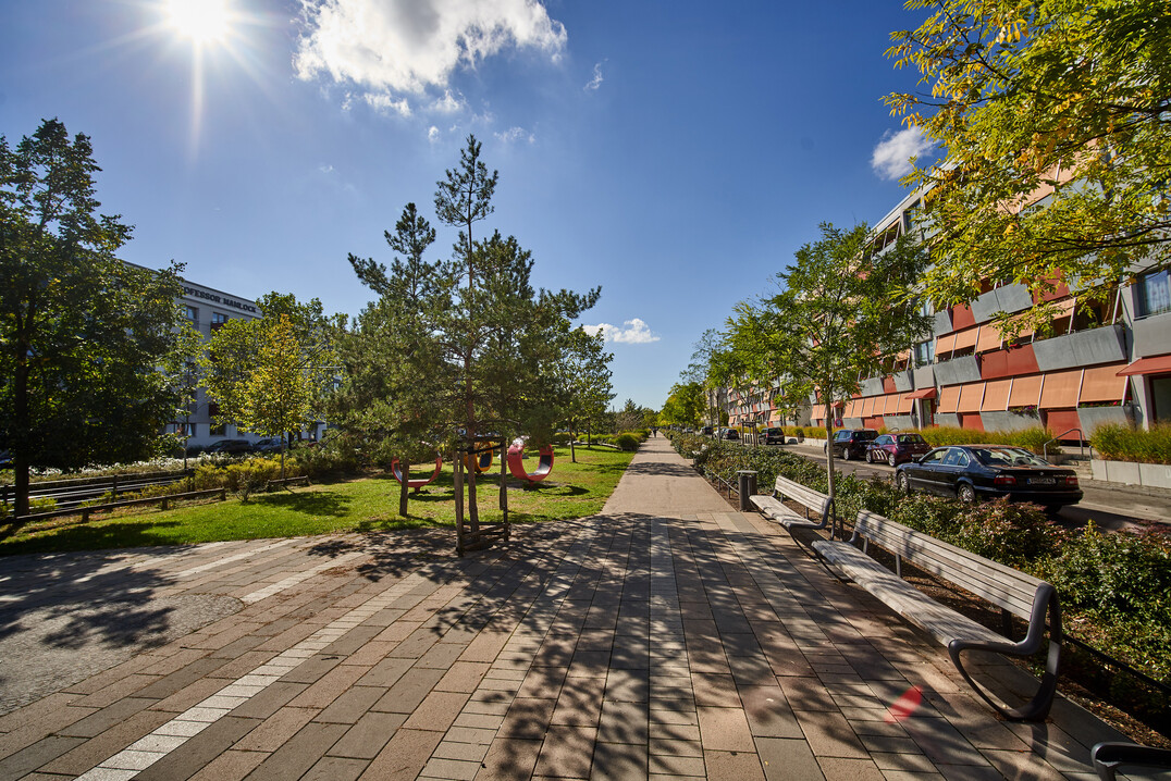 In Potsdam-Drewitz ist es gelungen, mittels Stadtnatur gleichzeitig soziale Stadtentwicklung zu betreiben. 