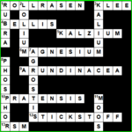 Lösung Juni-Rätsel<br>