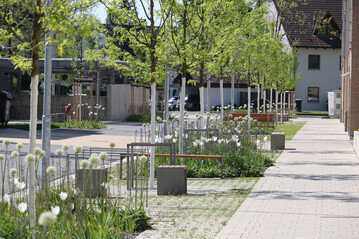 Rasenfugensteine