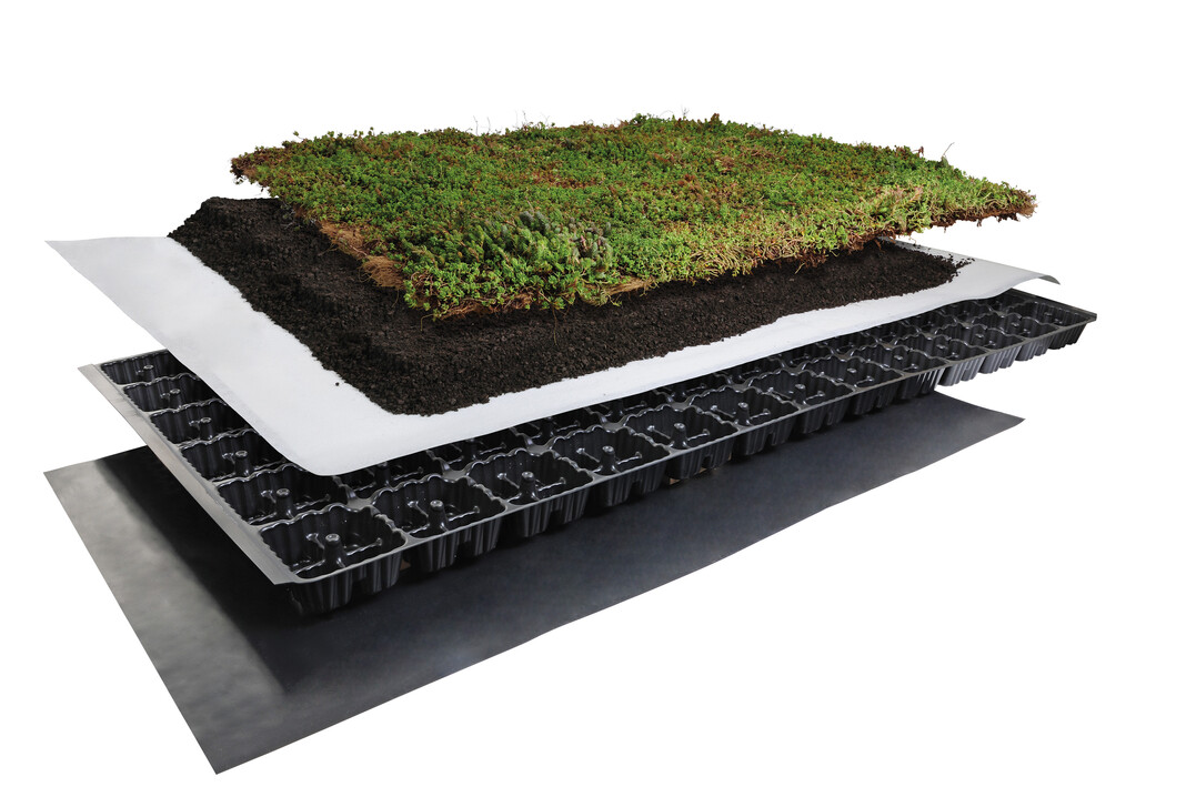 Das Terra-System ist eine Variante, die ausschlielich auf Substrat aufbaut. Durch den Einsatz verschiedener Drnagematten und Aufbauhhen ist es sehr flexibel und passt sich der Vegetation an  egal ob ein verzgerter Ablauf oder eine Anstauung gewnscht ist.