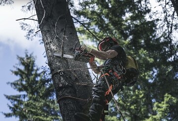 Mit dem neuen Arboristen-Helm SPIRE Vent und anderem Bedarf ergnzt Husqvarna sein Angebot fr die Baumpflege.