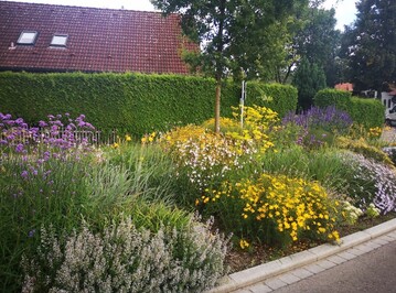Blhende Staudenpflanzungen erfreuen Menschen, verbessern das Stadtklima, binden Feinstaub, bieten zustzliche Versickerungsflchen und leisten einen wichtigen Beitrag zur Erhhung der Biodiversitt. 