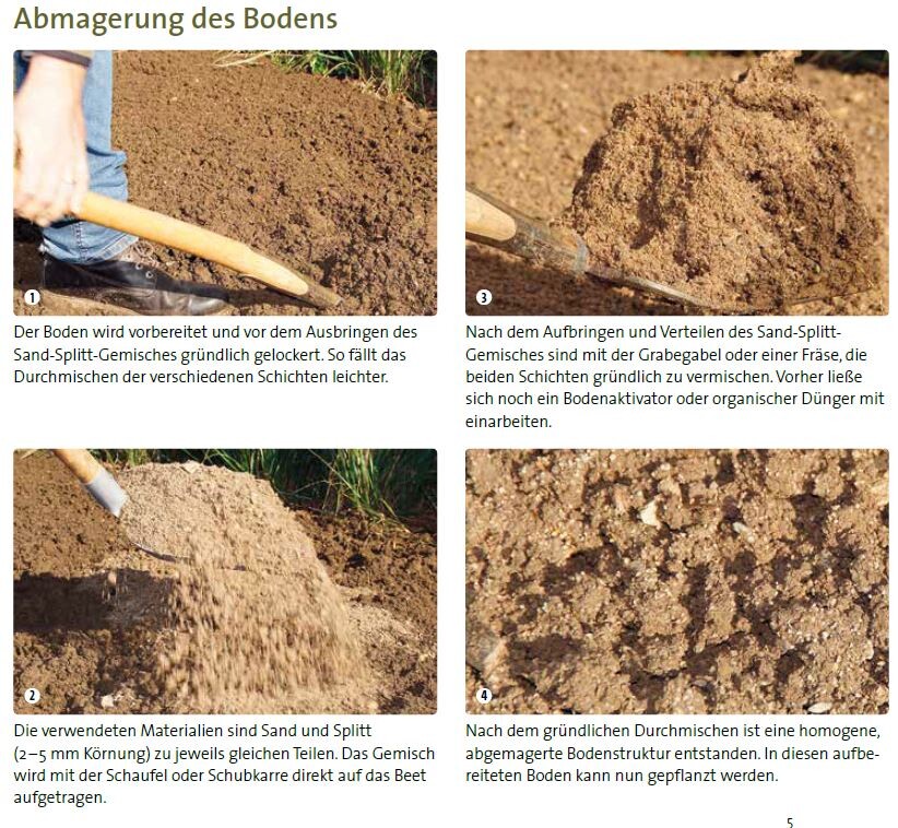 Gute Bodenvorbereitung ist die Basis für den Erfolg DEGA GALABAU das