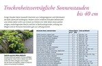 Auszug Trockenheitsverträgliche Sonnenstauden bis 40 cm