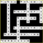 Lösung August-Rätsel<br>