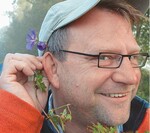 Helleborus niger ‘Praecox’