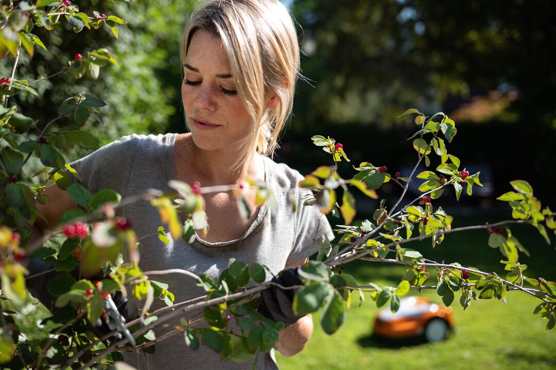 Für gut drei Viertel der Gartenbesitzerinnen und Gartenbesitzer in Deutschland ist der eigene Garten ein Ort der Entspannung und Ruhe. Das ist eines der Ergebnisse der Umfrage zum aktuellen Stihl Garten-Barometer.