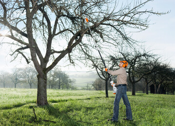 Der lange Arm des Grtners: Mit dem neuen Hoch-Entaster STIHL HT 56 C-E lassen sich ste bis ca. 4 Meter Hhe einfach, sicher und bequem vom Boden aus beschneiden.
