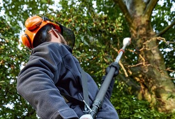 Mit dem neuen Akku-Hoch-Entaster STIHL HTA 66 knnen Baumpflege und Obstbau-Arbeiten mit sicherem Stand vom Boden aus przise und effizient erledigt werden. 